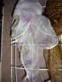 /album/foulards/p1220098-jpg/