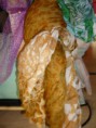 /album/foulards/p1220178-jpg/