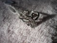 /album/bagues/p1210993-jpg/